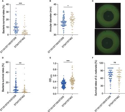 Phenotypic and genomic comparison of dominant and nondominant sequence-type of Acinetobacter baumannii isolated in China